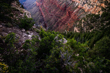 Scenic view of Grand Canyon. Overlook panoramic view National Park in Arizona. Valley view at dusk.