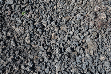 Detail of the texture of the soil with volcanic gravel of Sunset Crater Volcano National Monument