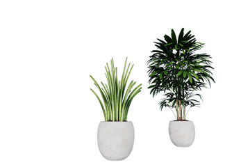 Potted plants isolated on white background. House plants in pots.3d render 