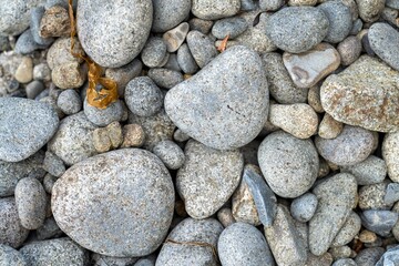 pebbles on a beach in tasmania australia