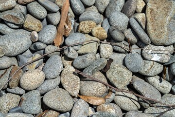 pebbles on a beach in tasmania australia