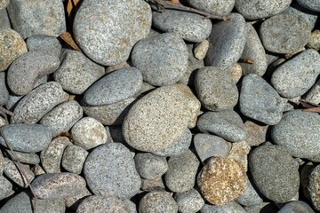 pebbles on a beach in tasmania australia