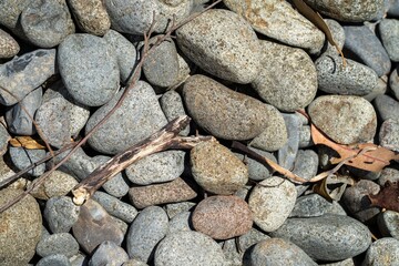 pebbles on a beach in tasmania australia