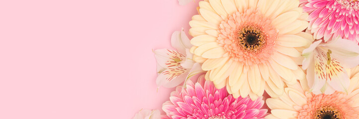 Banner with closeup of gerbera and alstroemeria flowers on a pink background. Floral composition...