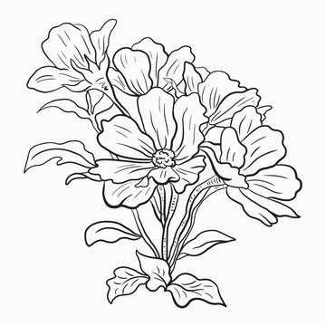 Hand drawn wild flowers vector