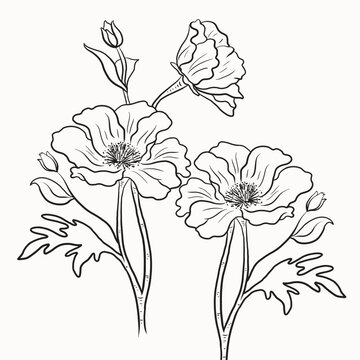 Hand drawn wild flowers vector