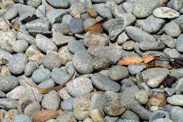 pebbles on a beach in tasmania australia