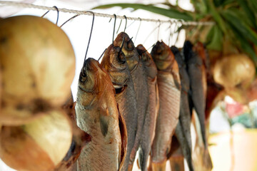 River fish dried on ropes.