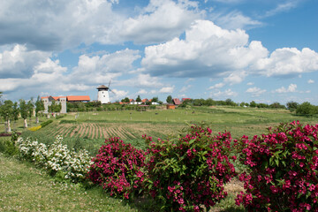 Windmill in Chvalkovice, Southern Moravia, Czech Republic