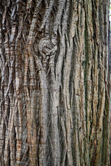 texture