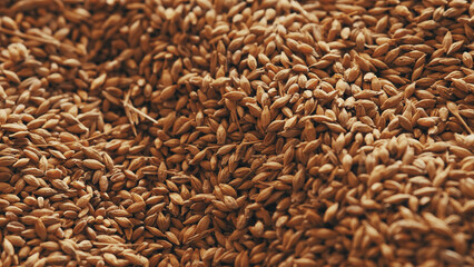 Abstract background grain harvested harvest