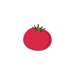 Fresh ripe red flat cartoon tomato with bllack lines isolated on white background. Hand drawn vector illustration in doodle simple trendy style. Juice, menu, ingredient, vegan, healthy nutrition.