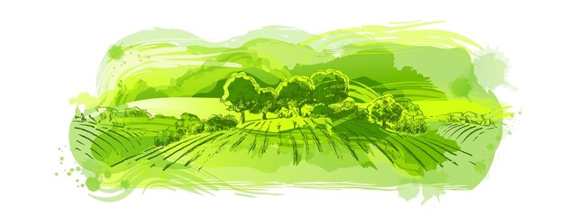 Sketch Green grass field on small hills. Meadow, alkali, lye, grassland, pommel, lea, pasturage, farm. Rural scenery landscape panorama of countryside pastures. illustration