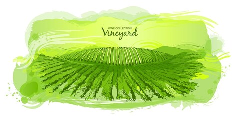 Watercolor green vineyard valley field on a small hill. Potato plantation farm. Wine logo label background. Rural scenery countryside landscape. Sketch hand draw illustration