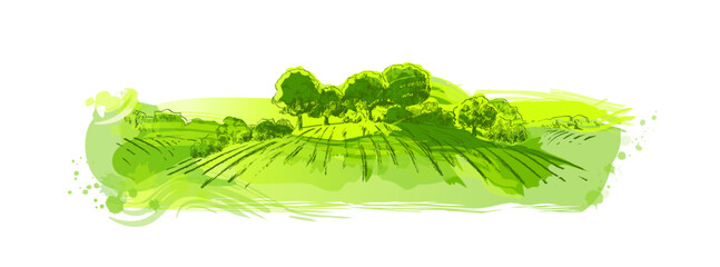 Watercolor green field landscape on small hill. Meadow grass, nature, pasturage, farm. Rural scenery landscape panorama of countryside pastures. Vector - obrazy, fototapety, plakaty