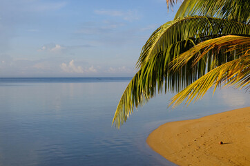 Beach and palm tree, Sainte Marie Island, Madagascar