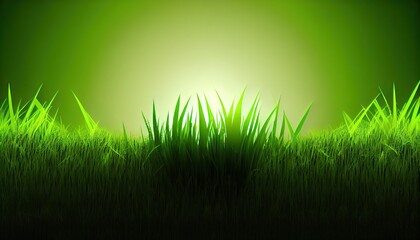 Fototapeta na wymiar Lawn green background