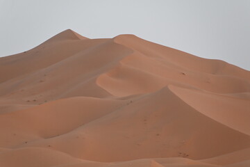 Due sabbia del deserto del Sahara