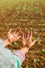 unrecognizable woman hands dirty with soil with the rural background. Earth and environmental day