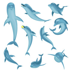 Dolphin cartoon characters set isolated on white.  illustration of sea life blue fish or wild nature animals in different poses. Ocean mammal in motion