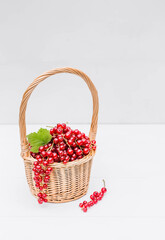 A small wicker basket with fresh red currants on a white wooden isolated background. A beautiful, healthy ripe summer berry.