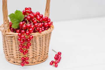 A small wicker basket with fresh red currants on a white wooden isolated background. A beautiful, healthy ripe summer berry.