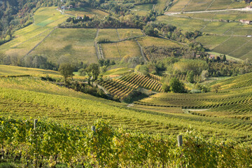 Fototapeta na wymiar Autumn, view of the Italian Langhe. View of hills with vines in autumn season. Piemonte, Langhe area.