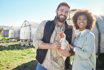 Farmer couple, chicken and agriculture with animal on farm, portrait and poultry farming with...