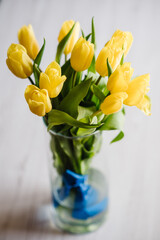 A bouquet of yellow tulip flowers with blue ribbon in a vase on white background. Surprise. Space for text. Holiday greeting card for Valentine's, Women's, Mother's Day. Happy Birthday. Top view