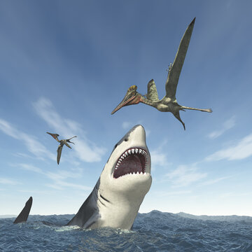 Großer weißer Hai attackiert den Flugsaurier Pterodactylus
