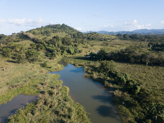 Obraz na płótnie Canvas Jungle of the Dominican Republic birds view