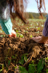 Earth day. Farmer hands touching a harvest in the fertile ground.