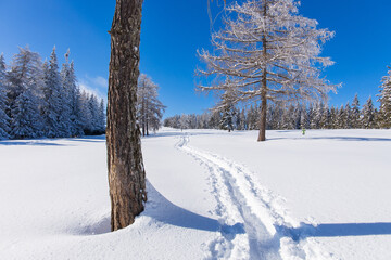 Now hiking trail at a beautiful mountain pasture covered with powder snow in Austria