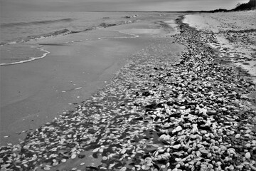 zimowa plaża © jholy