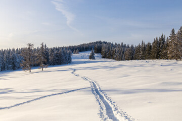 Obraz premium Foot steps in powder snow through a beautiful winter mountain landscape in Austria