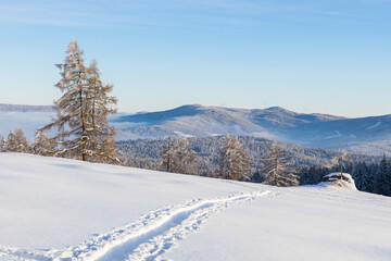 Foot steps in powder snow through a beautiful winter mountain landscape in Austria