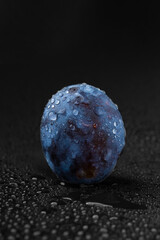 Blue plum close-up with water drops on a black background.