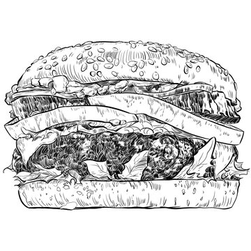 Ilustraci&radic;&ge;n tinta, realista de estilo vintage de marisco, pescados, carnes, hamburguesas y otros alimentos para cartas de restaurantes y publicidad en restauraci&radic;&ge;n en png transparente.