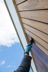 Restoration of hardwood facade siding, dramatic low angle view, hand with paint brush oiling exterior wood