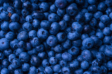 Fresh blueberry background. Texture blueberry berries close up.