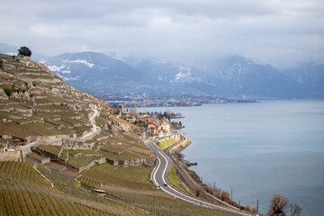 terraced vineyards of Lavaux