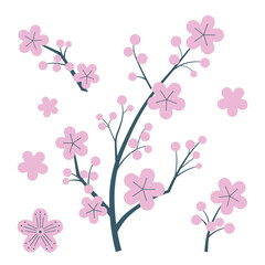Japanese Cherry Blossom Branches with Sakura Flowers