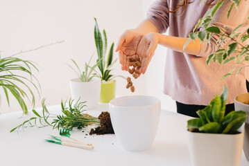 hand layers expanded clay aggregate drainage in pots for transplanting houseplants