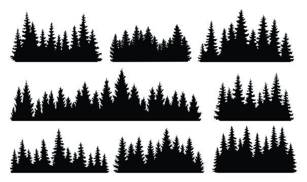 Fir trees silhouettes set. Coniferous spruce horizontal background patterns, black evergreen woods vector illustration. Beautiful hand drawn panorama with treetops forest. Black pine woods