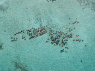 lobster traps in Dominican Republic - Bayahibe