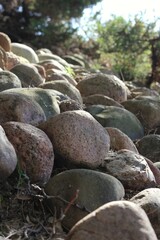 Fototapeta na wymiar stones on the shore