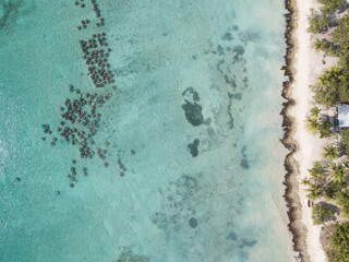 lobster traps in Dominican Republic - Bayahibe