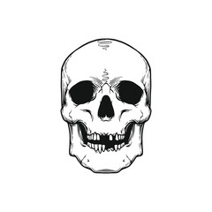 Skull Head Template Black and White Vector Illustration. Design element for shirt design, logo, sign, poster, banner, card