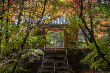 Naklejka premium 根香寺