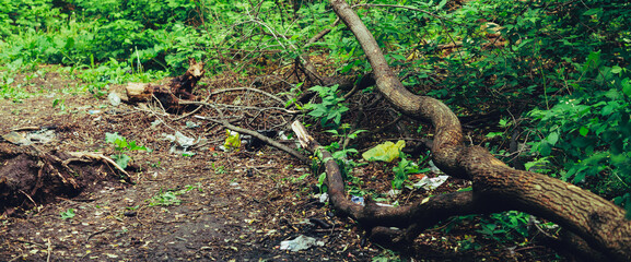 Garbage pile in forest among plants. Toxic plastic into nature everywhere. Rubbish heap in park among vegetation. Contaminated soil. Environmental pollution. Ecological issue. Throw trash anywhere.